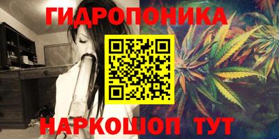 дурь Жуковский