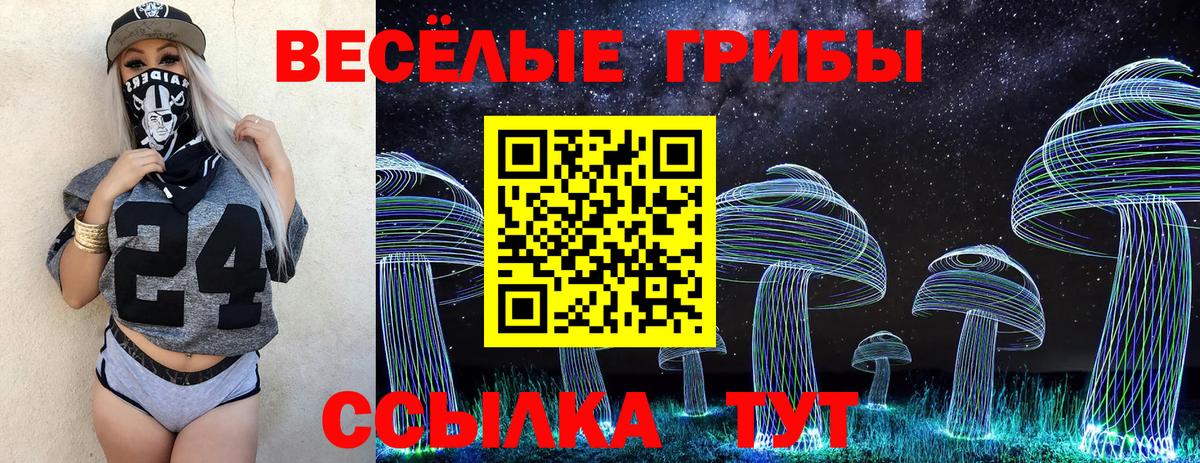 Галлюциногенные грибы мухоморы Губкин