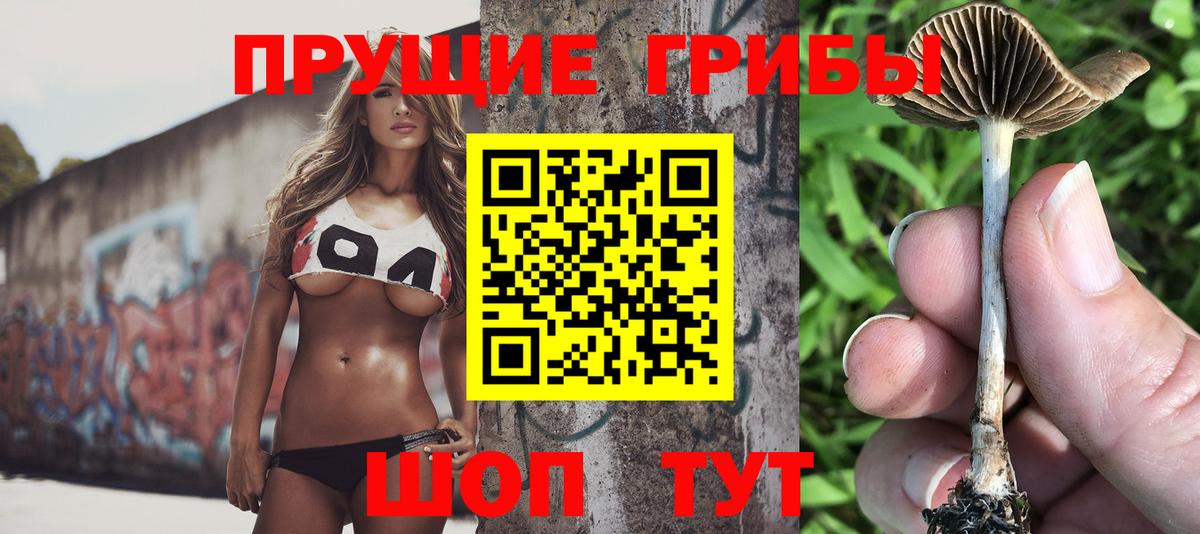 Псилоцибиновые грибы мицелий  Вход с VPN  Губкин 